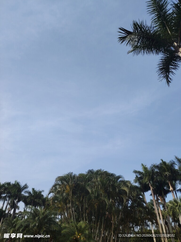 蓝天绿树间的自然景致