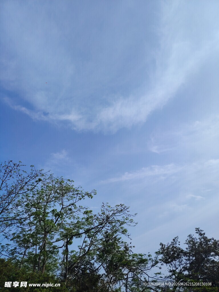 蓝天绿树间的美丽云彩