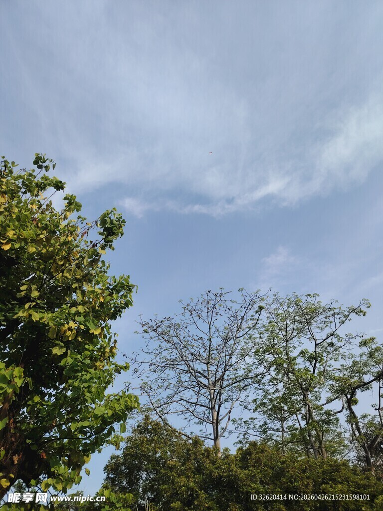 蓝天绿树间的自然景致