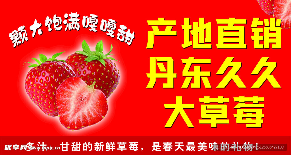产地直销丹东久久大草莓