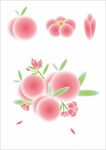 桃子插画