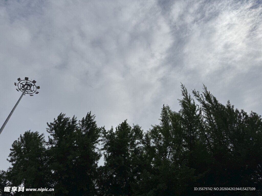 天空下的树木与高杆灯