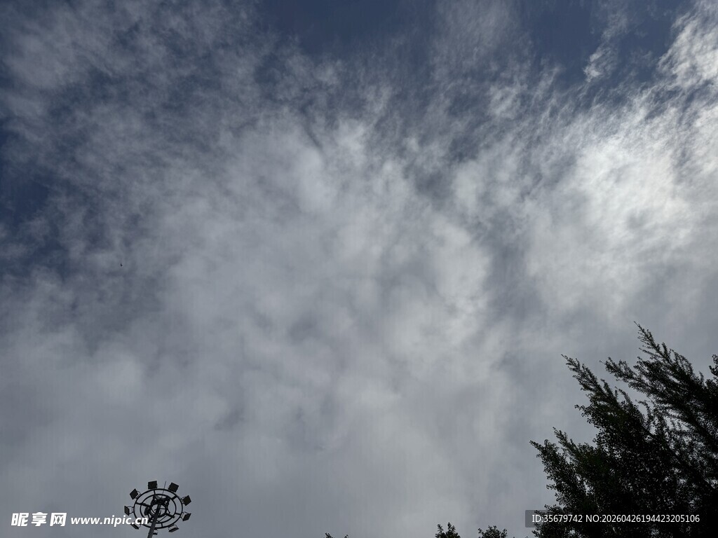 天空中的云朵与树梢