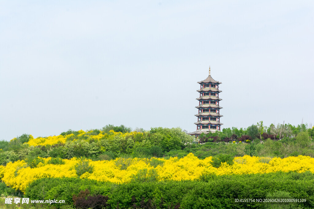 花海中的古塔