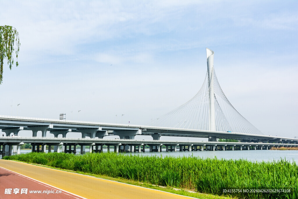 河畔斜拉桥美景