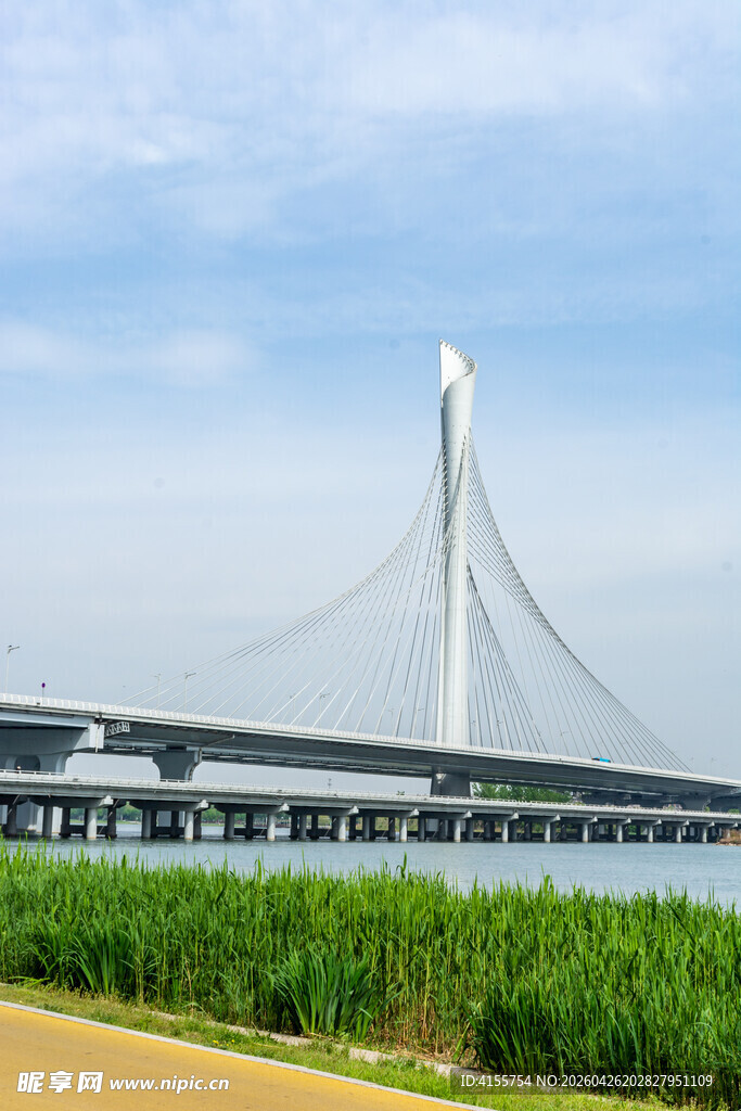 现代斜拉桥横跨绿野蓝天