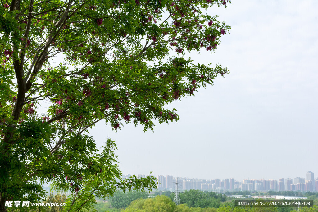 绿树掩映下的城市远景