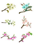 鲜花花枝素材集合