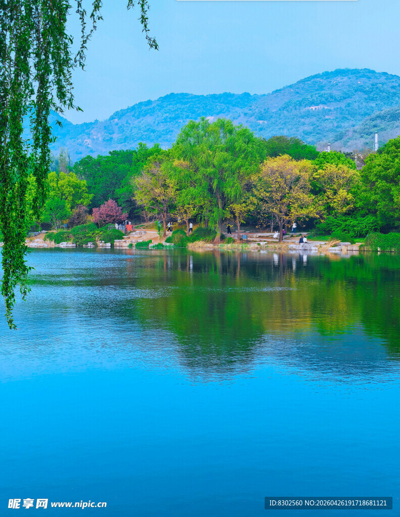 湖畔春色青山绿水映垂柳