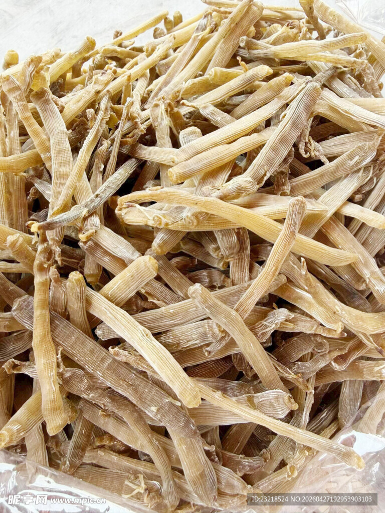 沙虫干