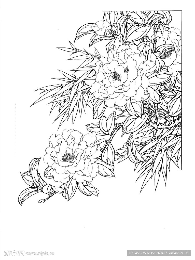 花卉线描图案