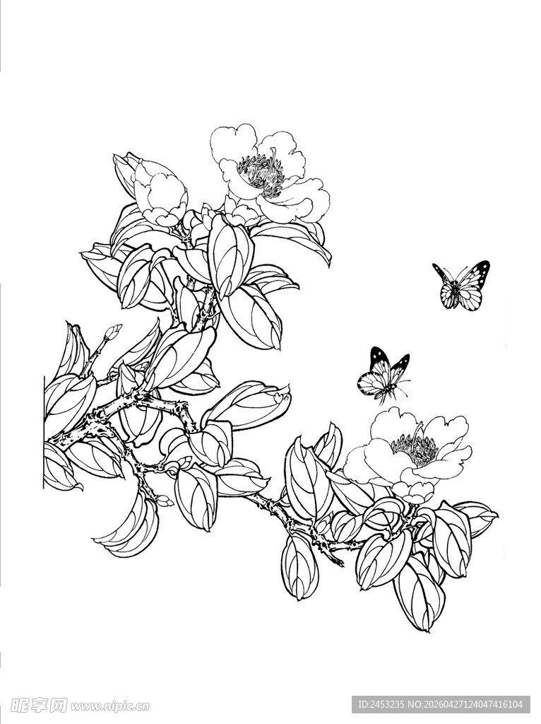花鸟蝴蝶黑白线稿图