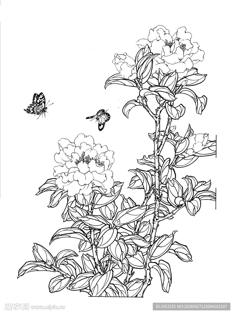 花卉蝴蝶线描图