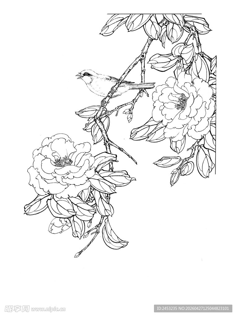 花卉枝叶线描图案