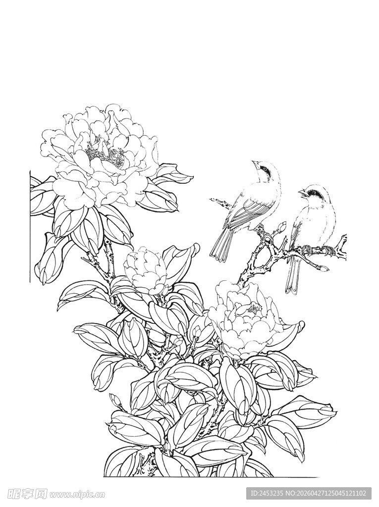 花鸟白描图