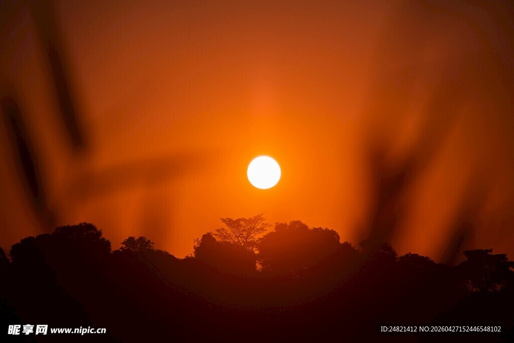 夕阳下的剪影美景