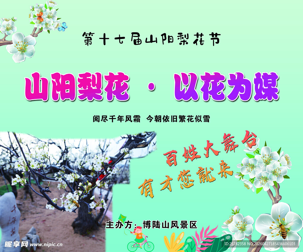 山阳梨花节以花为媒盛景