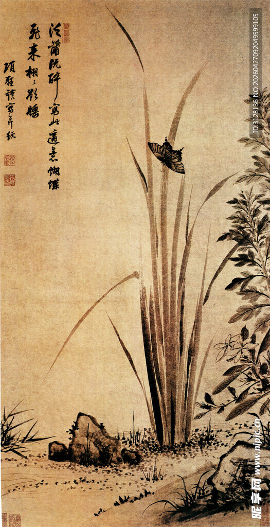 蝴蝶菖蒲图
