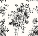 黑白花卉图案纹理背景
