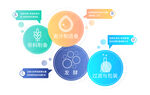 分类图标