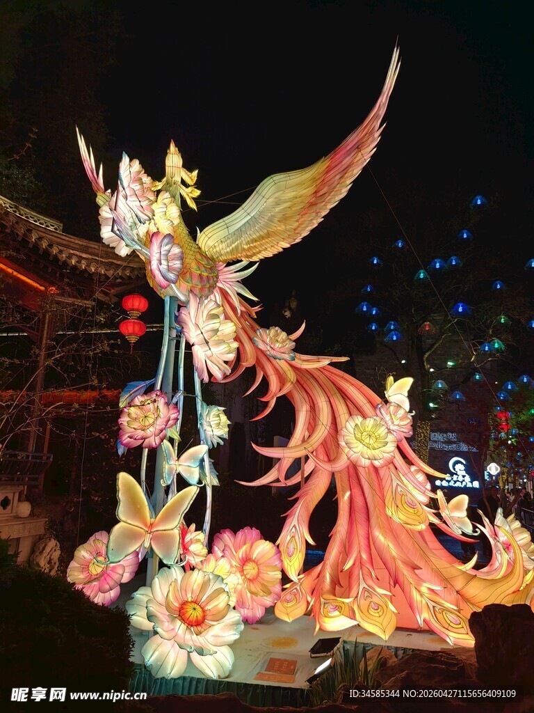 华丽凤凰彩灯