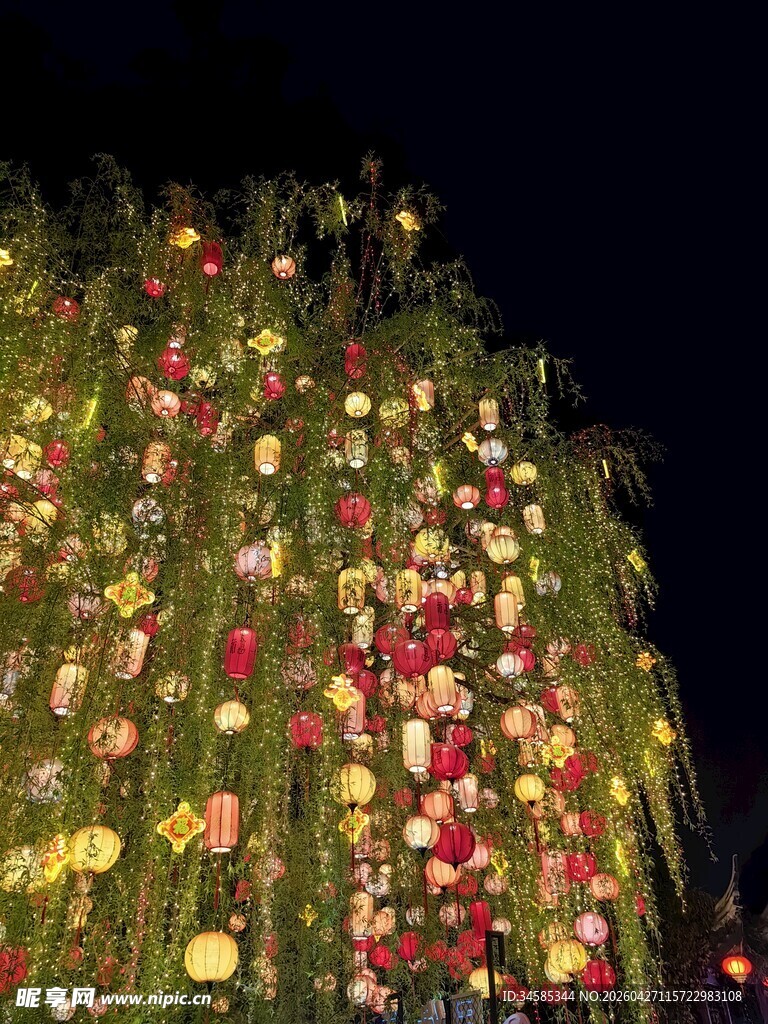 夜间绚烂花卉景观