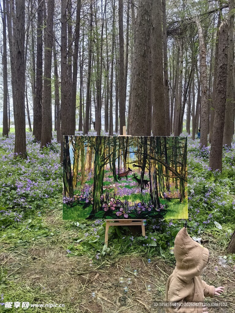 森林中的梦幻花卉展示台