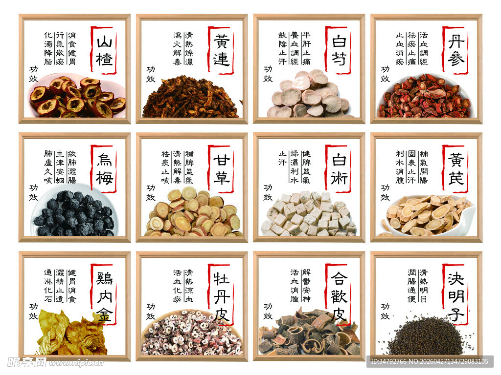 多样中药材展示