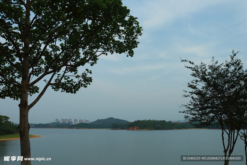 松湖烟雨湖畔绿树映蓝天景色美