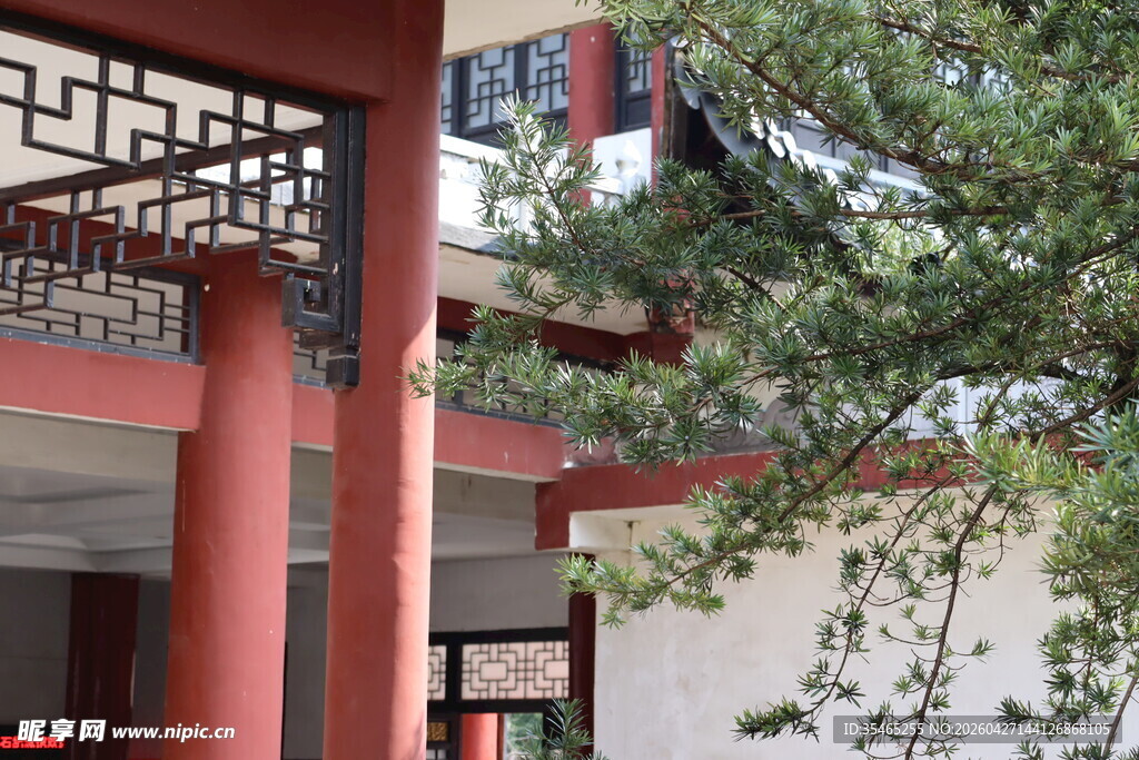 中式建筑一角 绿植相伴