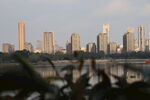 湖畔高楼林立城市景观