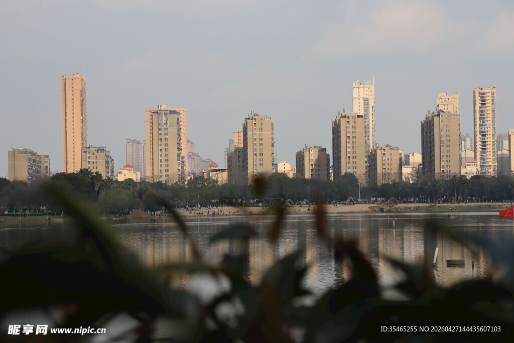 湖畔高楼林立城市景观