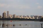湖畔城市天际线美景
