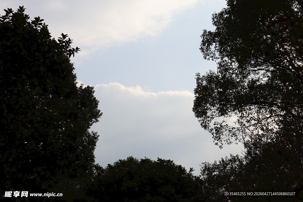 林间天空景致