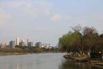 河畔城市风光