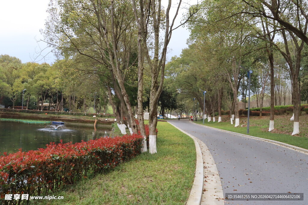湖畔林荫路 花草伴美景