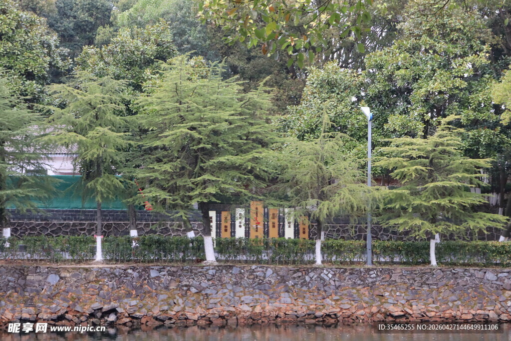 湖畔绿树环绕的静谧景致