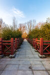 红栏步道 冬日林间美景