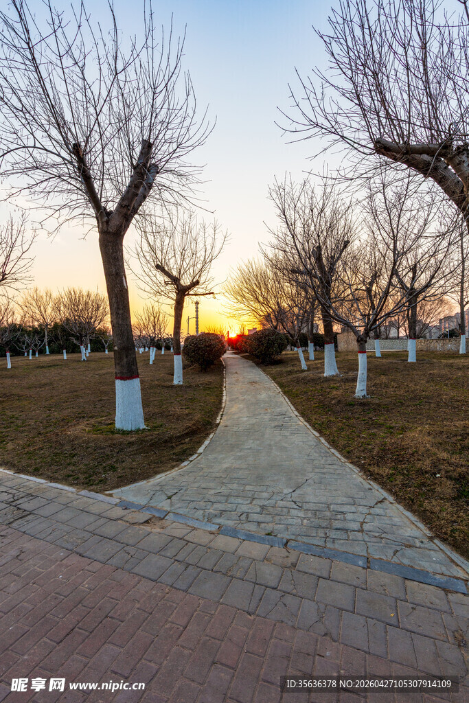 冬日黄昏公园小径美景