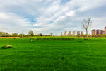 绿野风光与远处林立高楼相映成趣