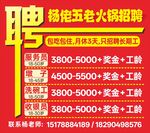 杨铭老五火锅招聘启事