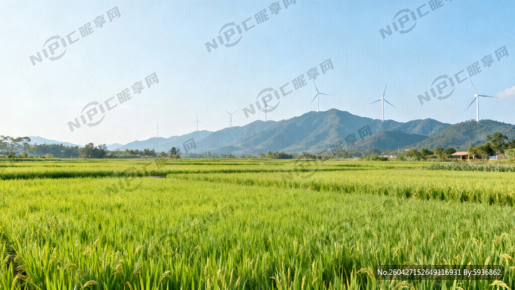 田园风 稻田 蓝天 山脉 开阔