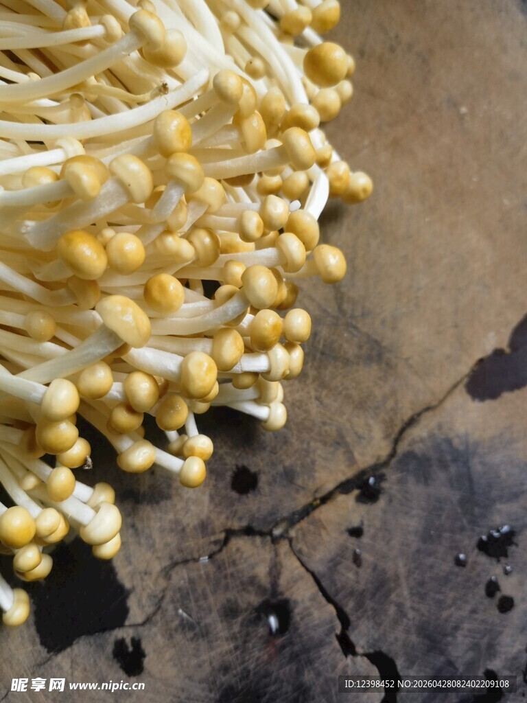 新鲜金针菇特写
