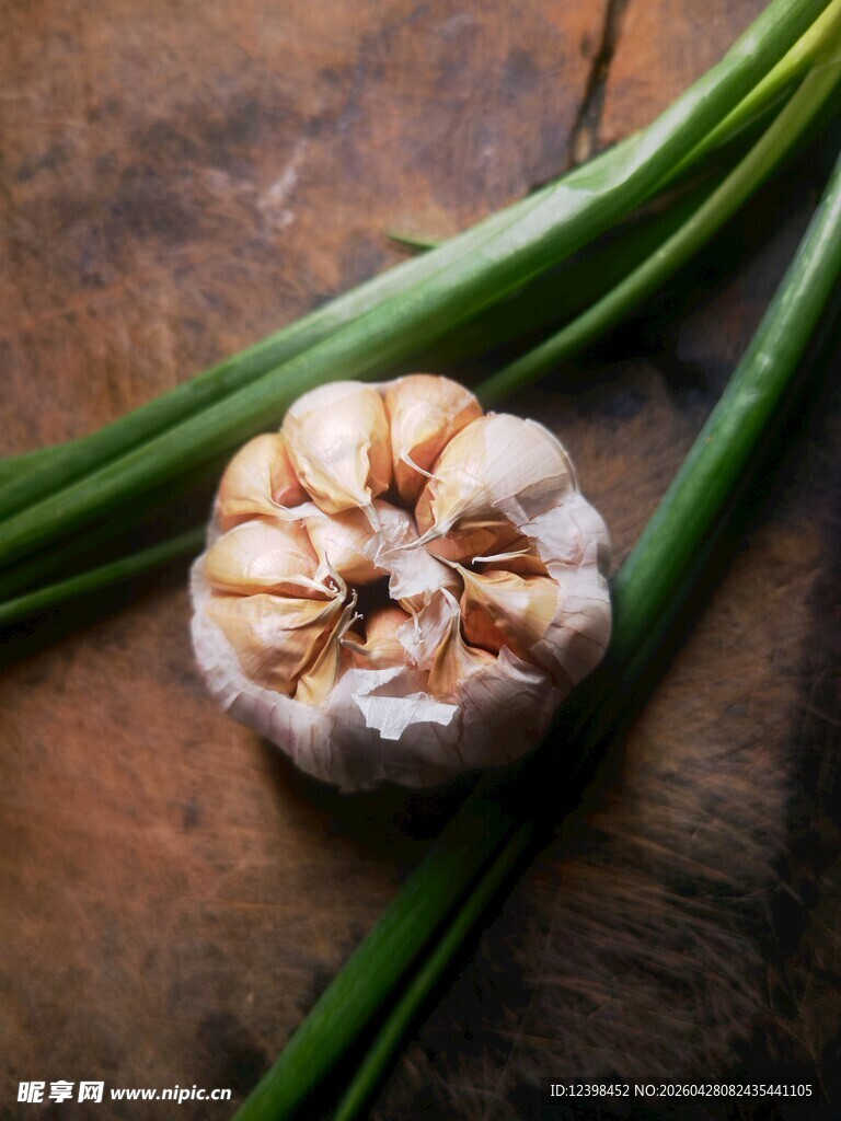 新鲜大蒜与翠绿蒜叶