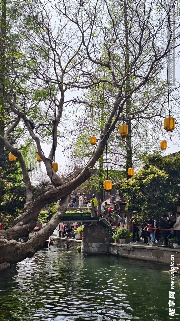 朱家角掠影