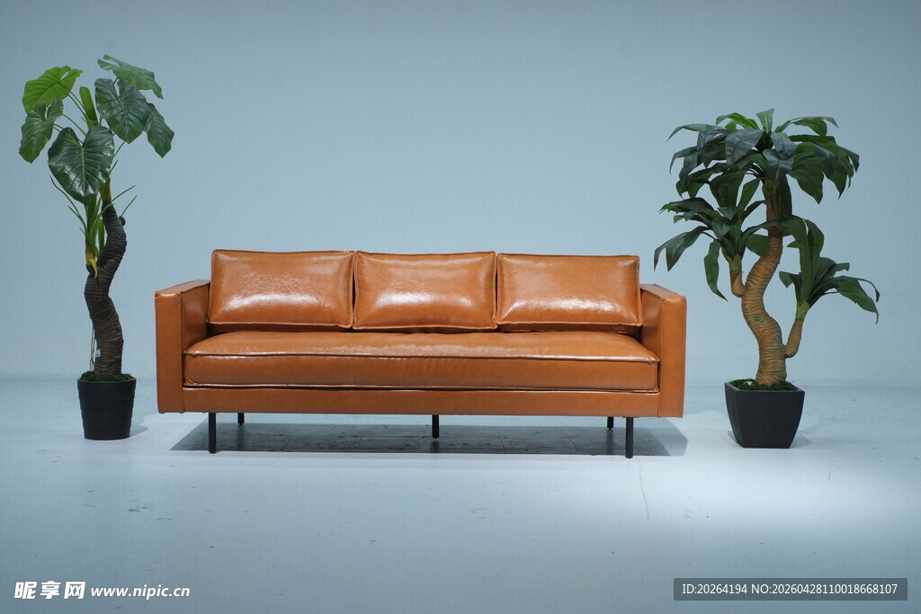 棕色真皮沙发与绿植组合