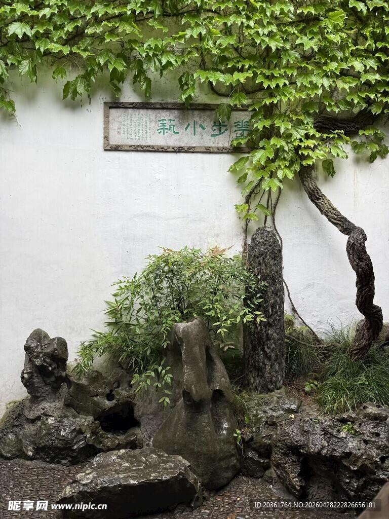 中式庭院绿植景致