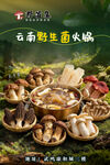 云南野生菌火锅盛宴