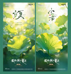 立夏小暑荷叶风景海报