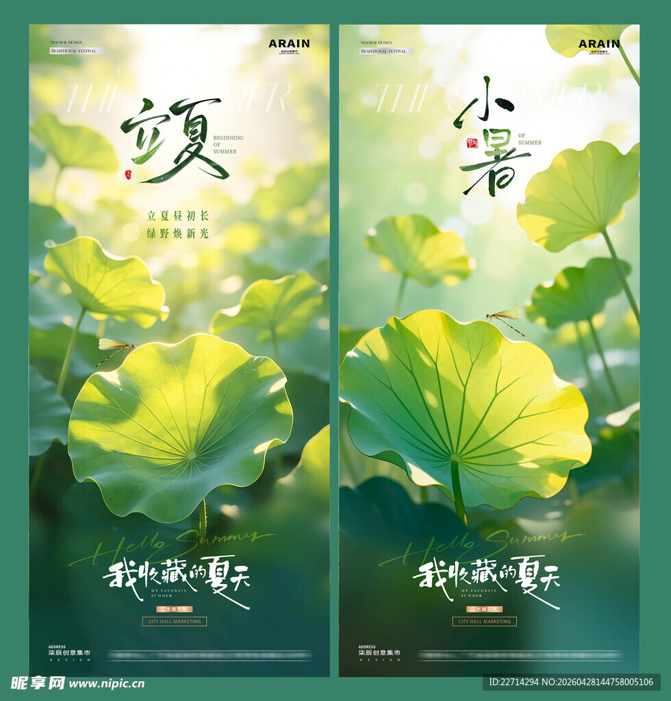 立夏小暑荷叶风景海报